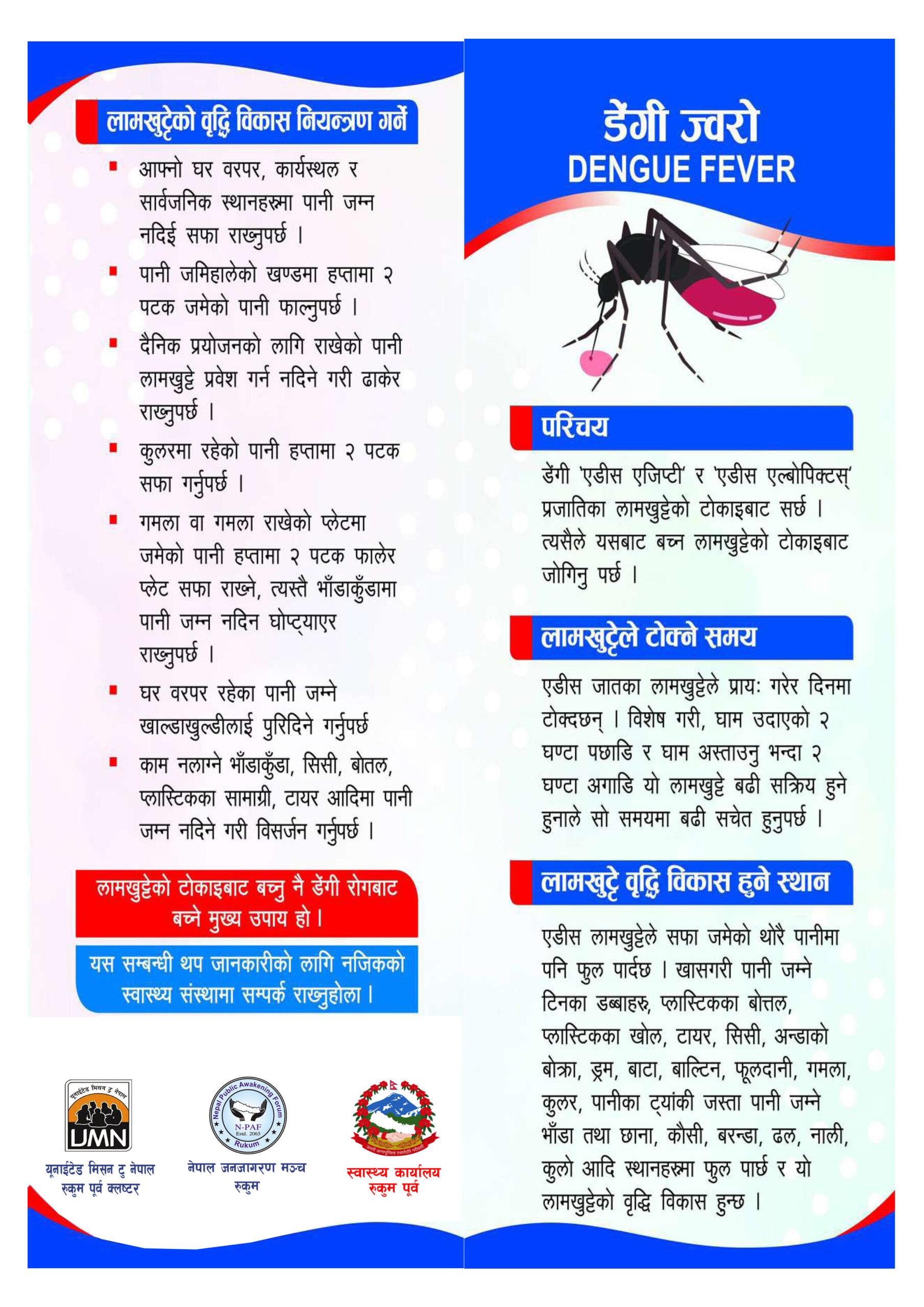 Dengue Fever
