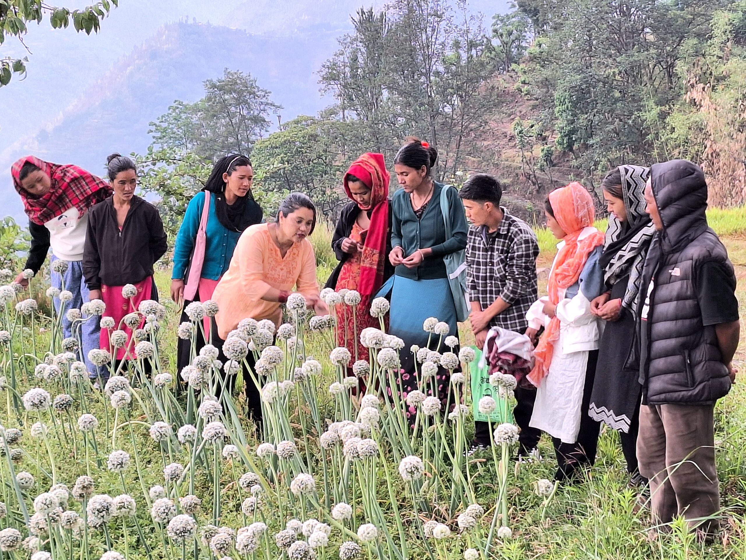 Vegetable Seed Production Training Conducted Successfully
